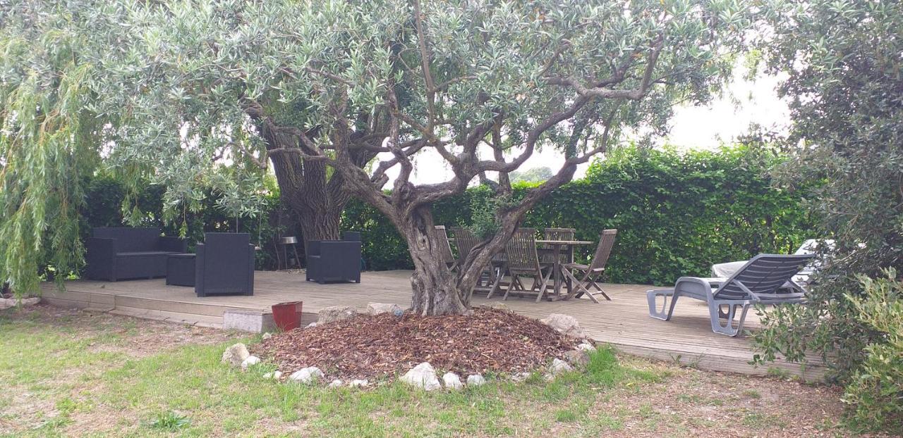le coin de paradis Modene Extérieur photo